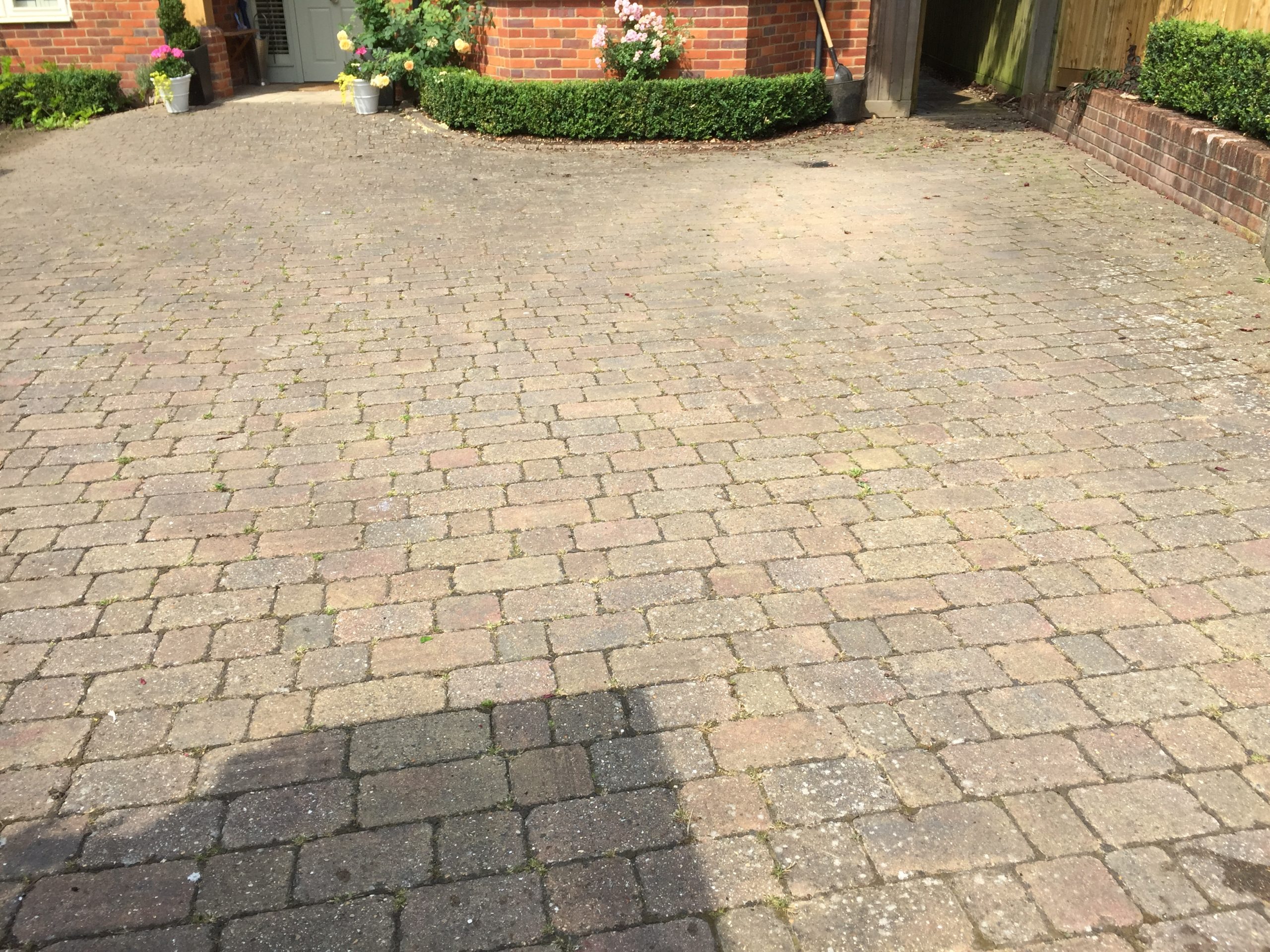 Dirty, weed-covered driveway before cleaning