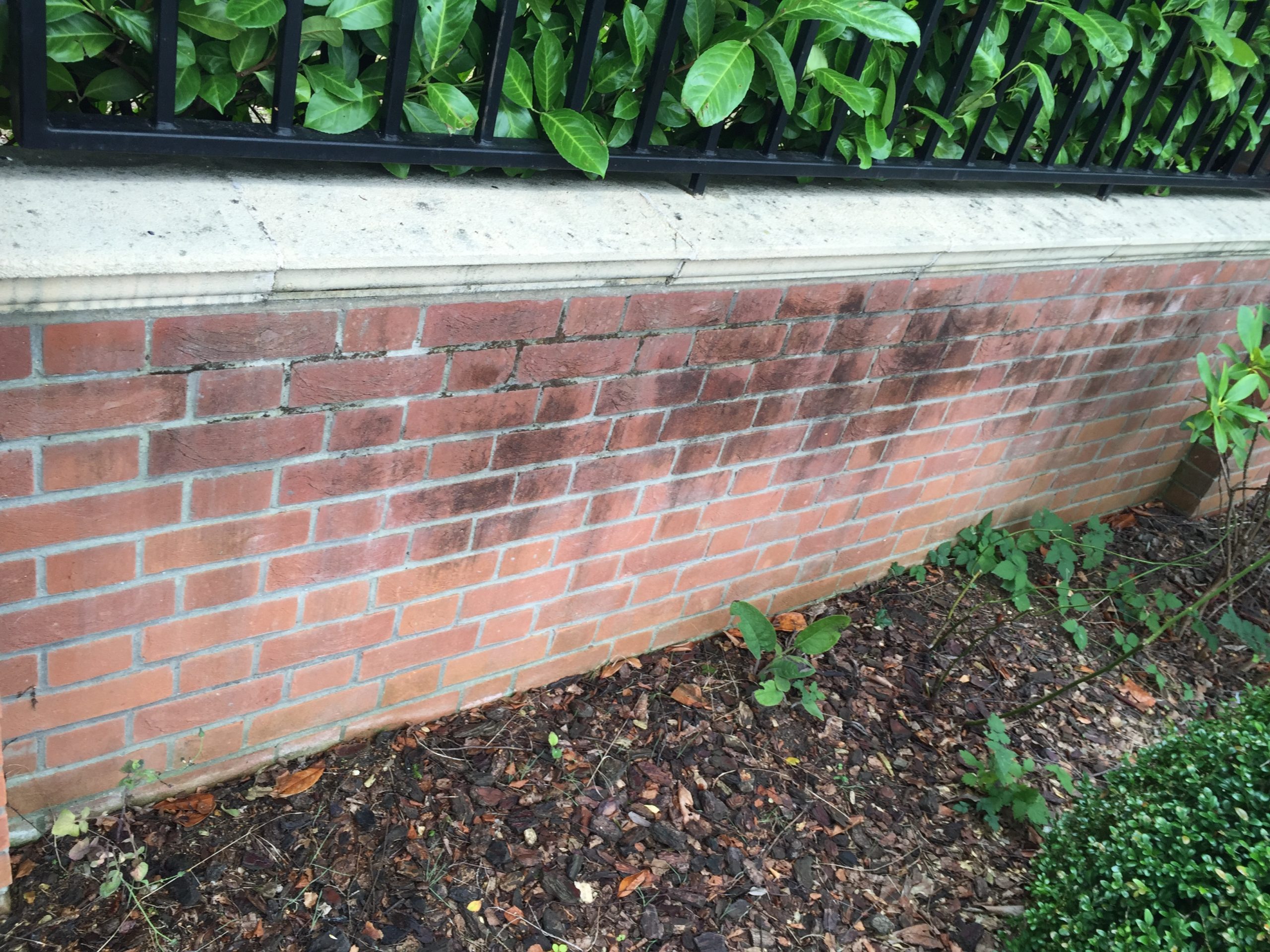 Dirty, algae-stained boundary wall before cleaning, close up