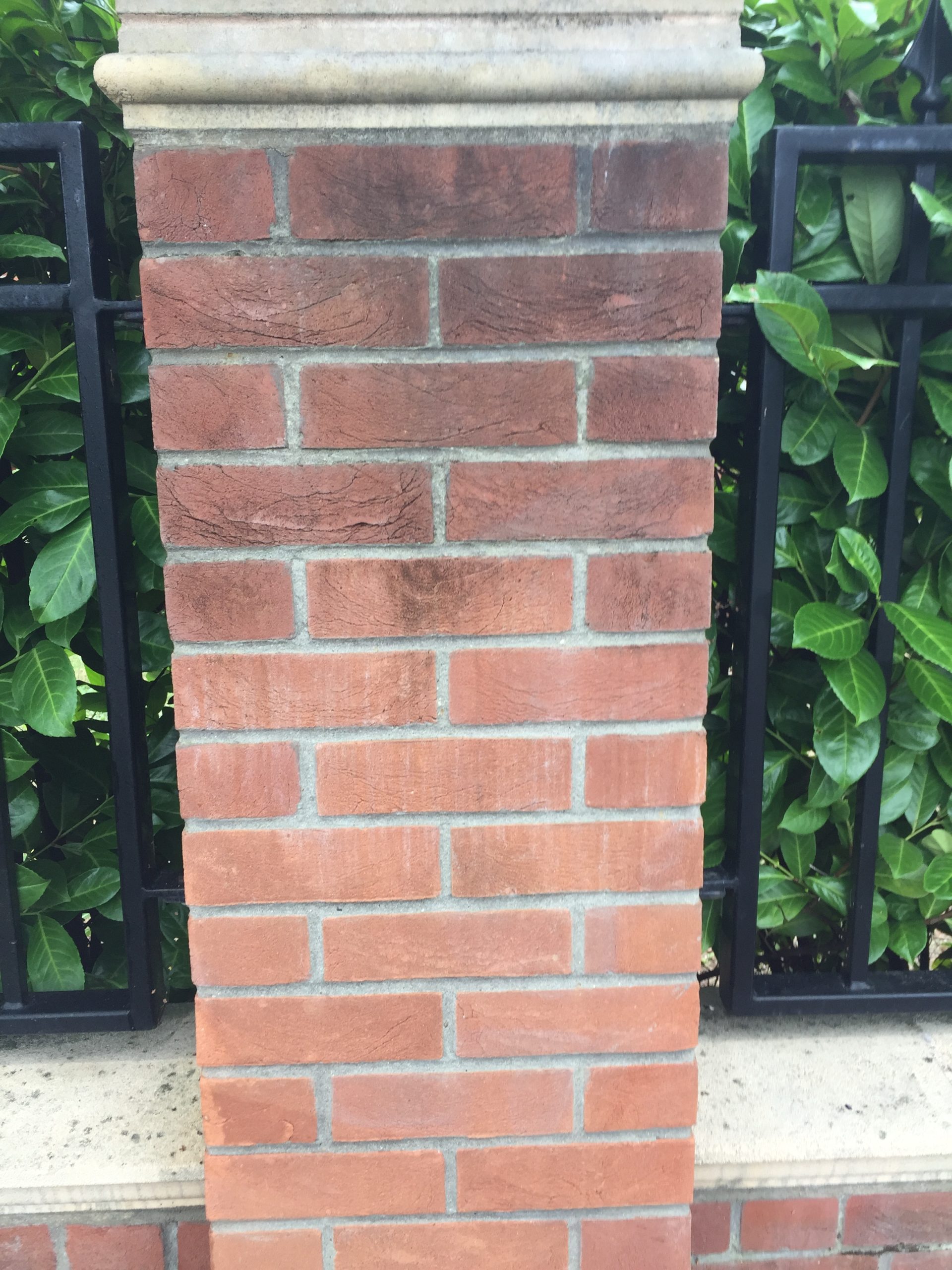 Dirty, algae-stained boundary wall before cleaning