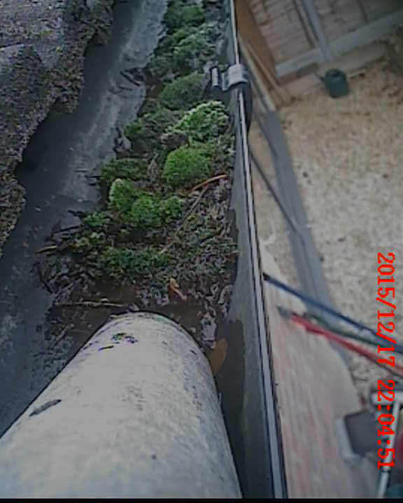 Blocked gutter before cleaning