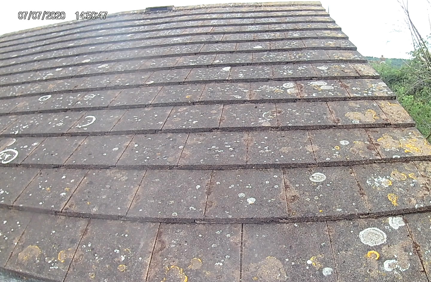 Clean roof after treatment