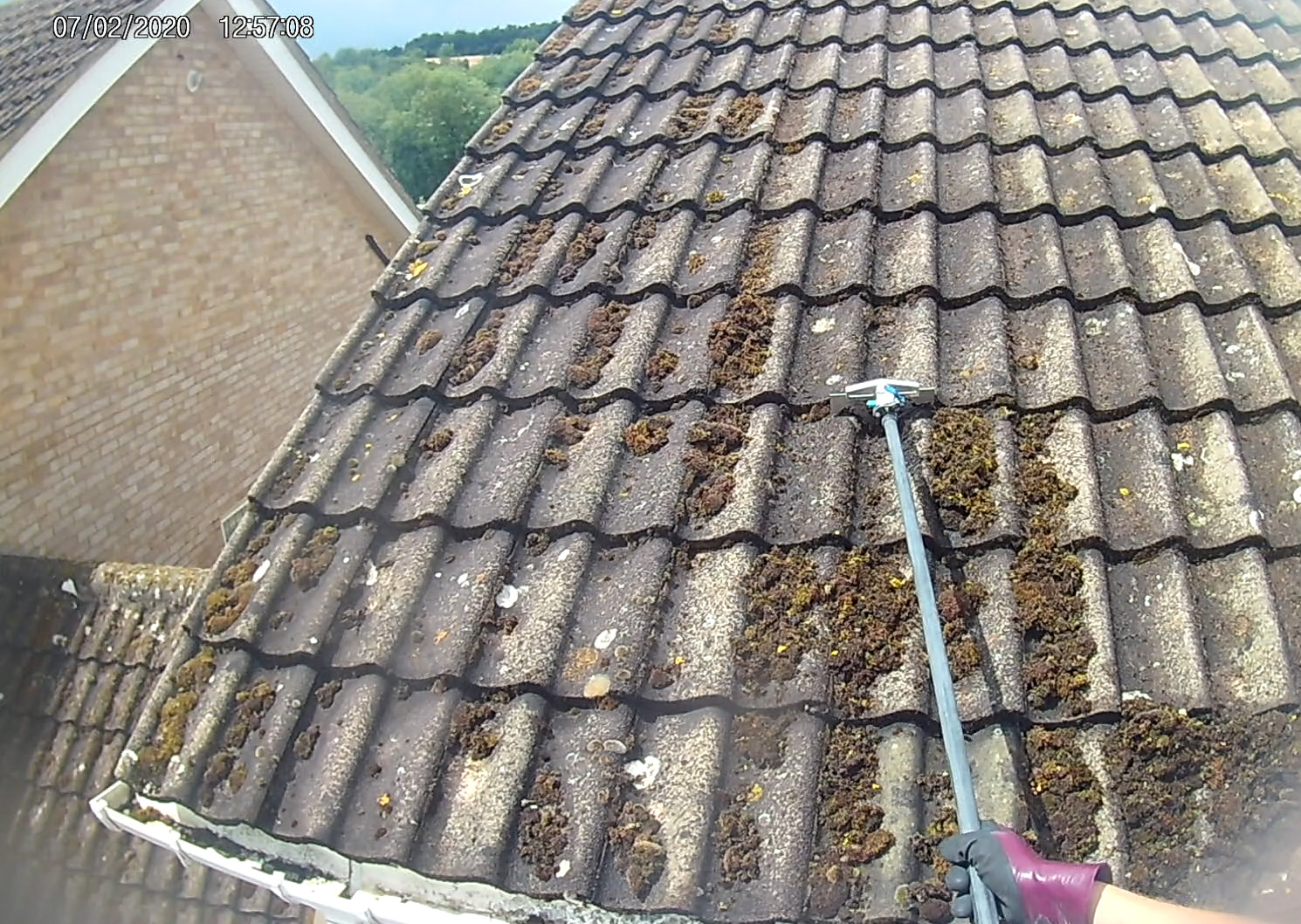 Moss being removed from a roof in Beaconsfield