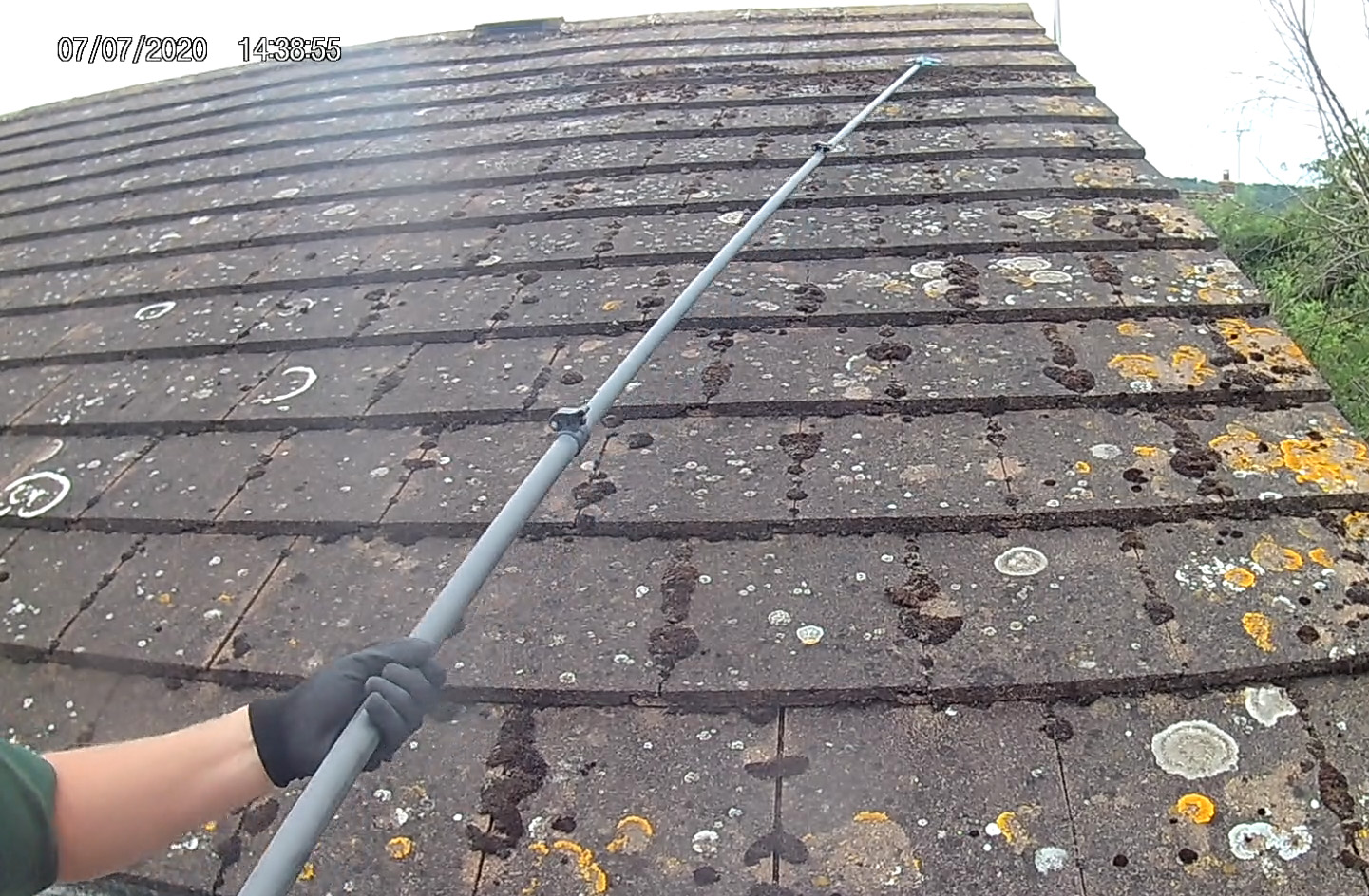 Mossy roof before cleaning