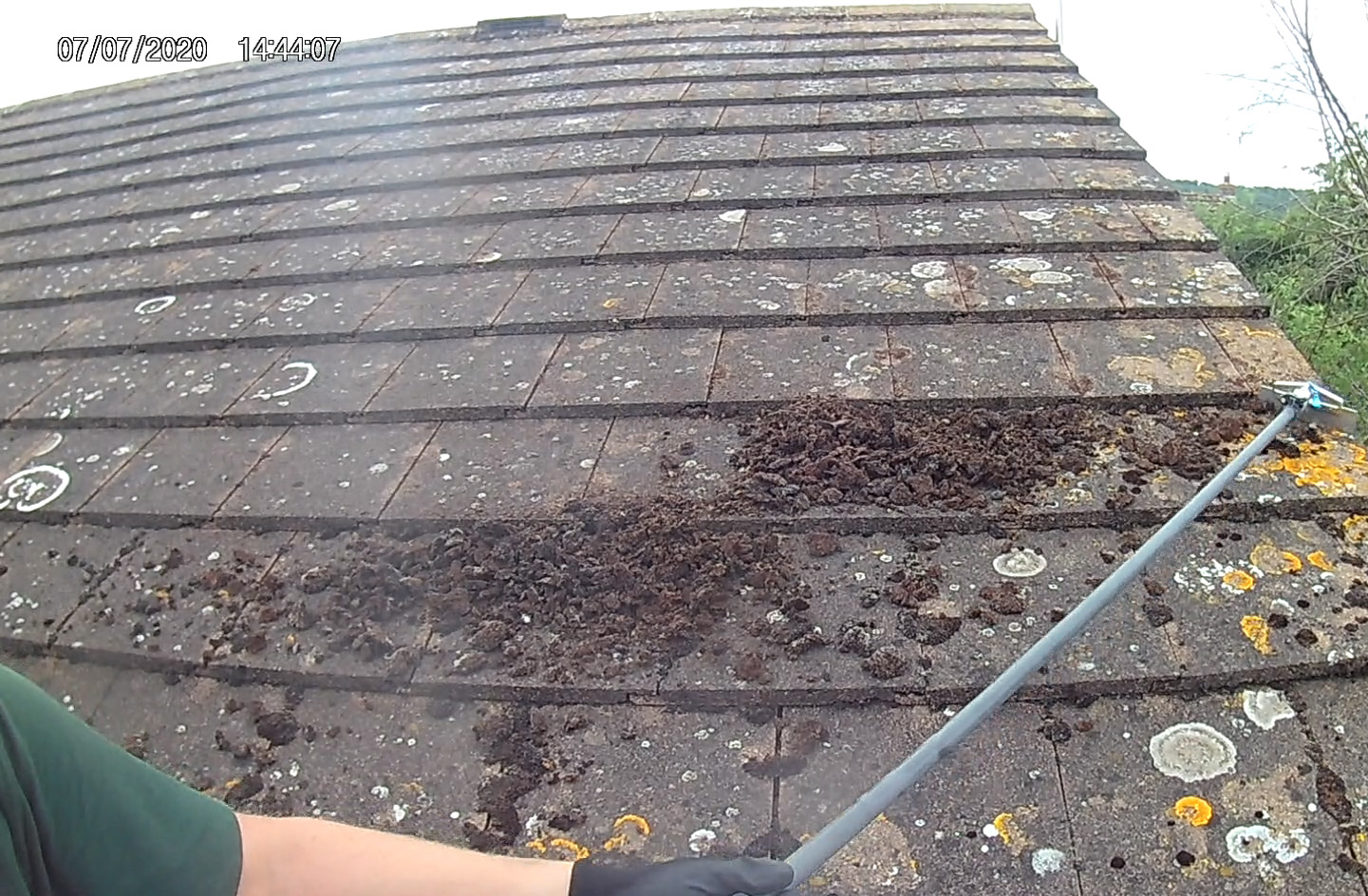 Moss being removed from a roof in High Wycombe
